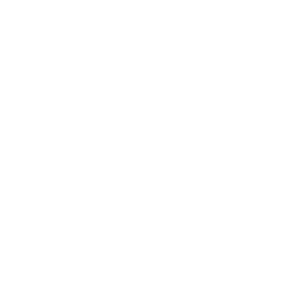 Scheicher-Logo-White